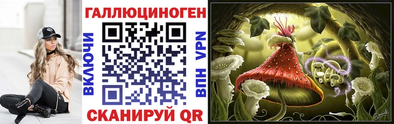 маркетплейс официальный сайт  Сарапул  Галлюциногенные грибы Psilocybine cubensis 